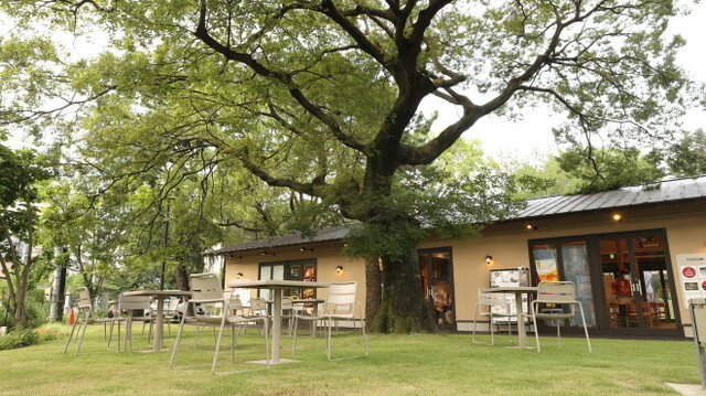 640x640_rect_8a748d90aa5883581a9ed8342f76eacc - 式場選び.JP